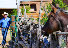 USA-Arizona-Rancho de la Osa